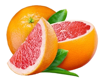 Grapefruit