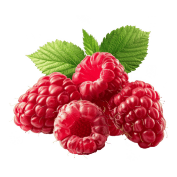 Raspberry